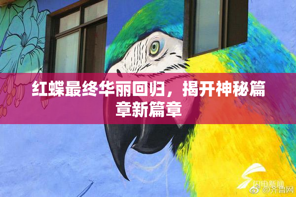 红蝶最终华丽回归，揭开神秘篇章新篇章