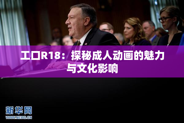 工口R18：探秘成人动画的魅力与文化影响