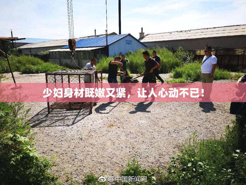 少妇身材既嫩又紧，让人心动不已！