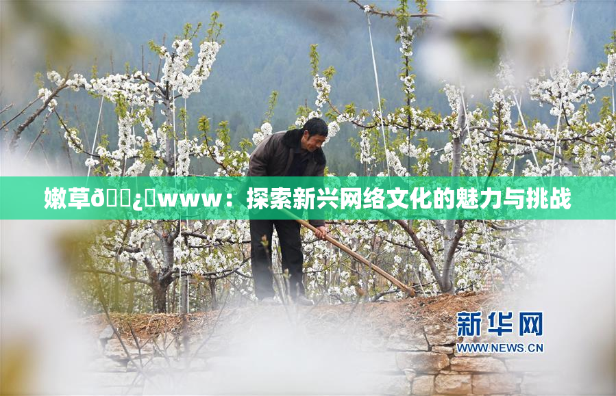 嫩草🌿‌www：探索新兴网络文化的魅力与挑战