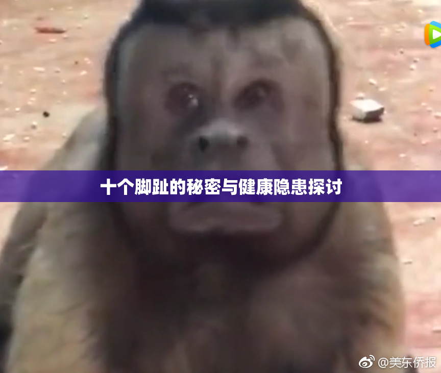 十个脚趾的秘密与健康隐患探讨