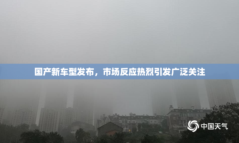 国产新车型发布，市场反应热烈引发广泛关注
