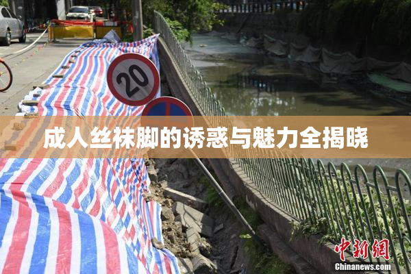 成人丝袜脚的诱惑与魅力全揭晓