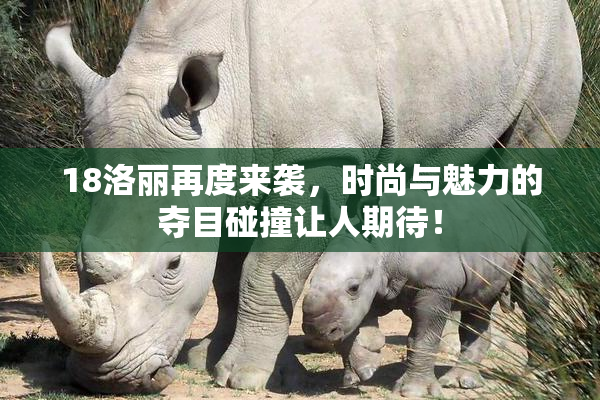 18洛丽再度来袭，时尚与魅力的夺目碰撞让人期待！