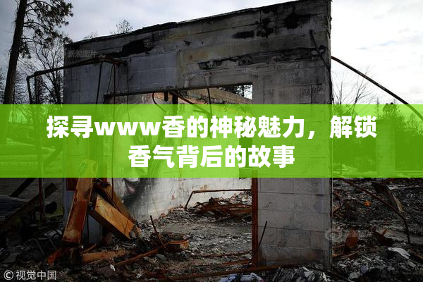 探寻www香的神秘魅力，解锁香气背后的故事