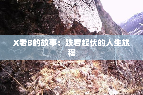 X老B的故事：跌宕起伏的人生旅程