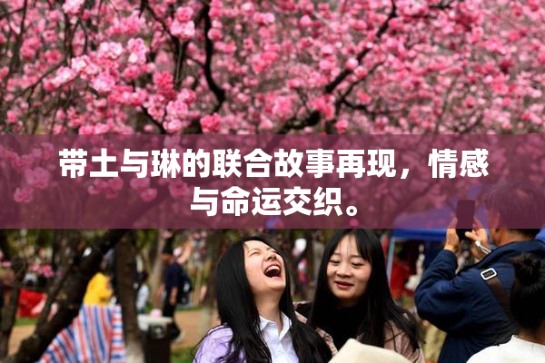 带土与琳的联合故事再现，情感与命运交织。