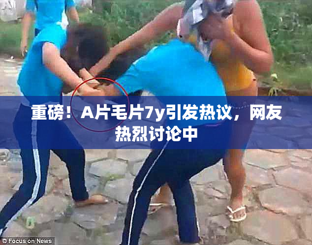 重磅！A片毛片7y引发热议，网友热烈讨论中