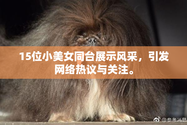 15位小美女同台展示风采，引发网络热议与关注。
