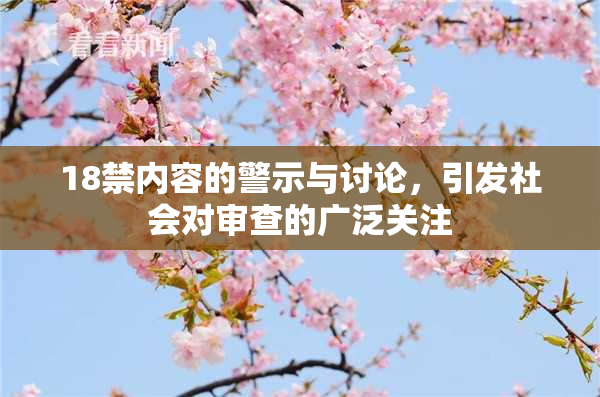 18禁内容的警示与讨论，引发社会对审查的广泛关注