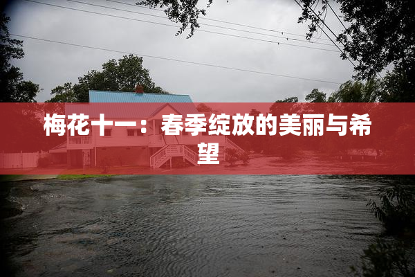 梅花十一：春季绽放的美丽与希望