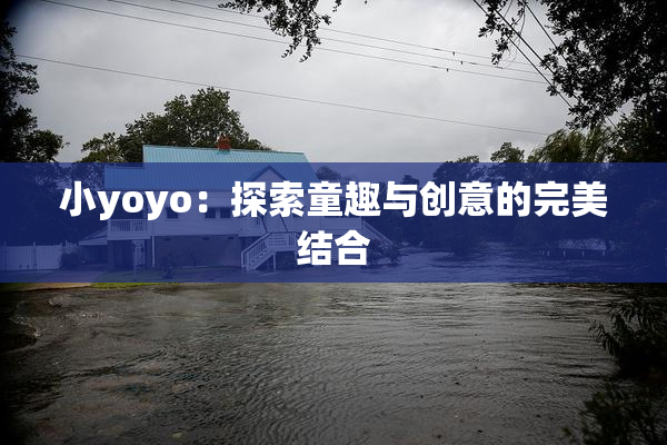 小yoyo：探索童趣与创意的完美结合