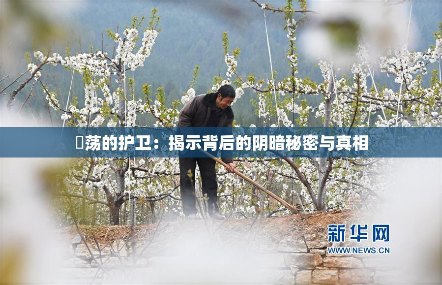 婬荡的护卫：揭示背后的阴暗秘密与真相