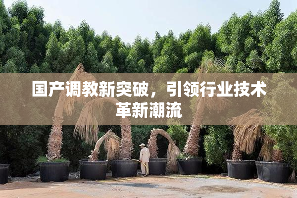 国产调教新突破，引领行业技术革新潮流