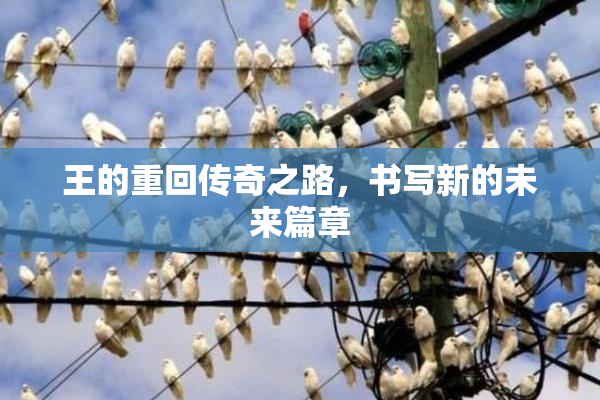 王的重回传奇之路，书写新的未来篇章