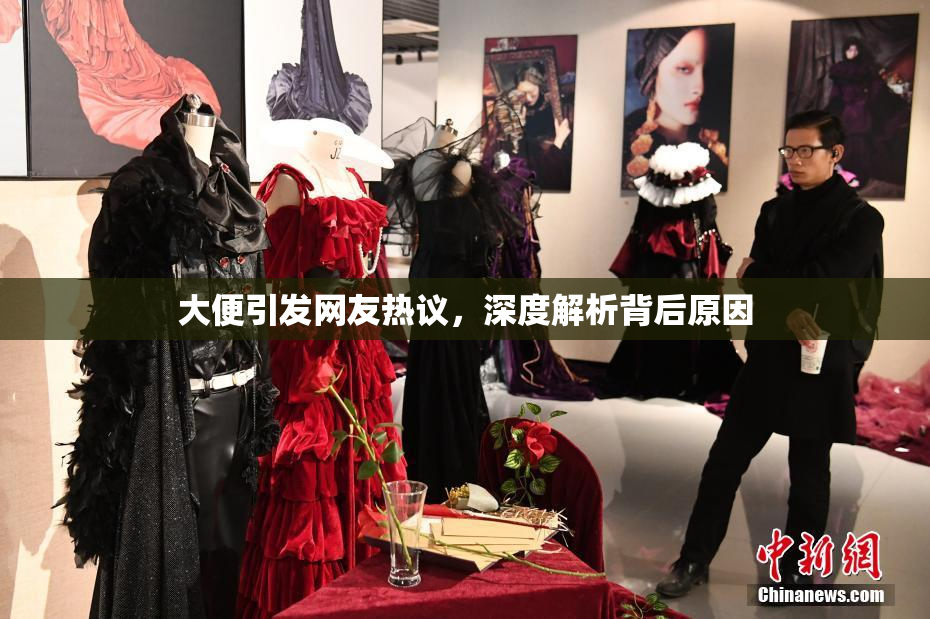 大便引发网友热议，深度解析背后原因
