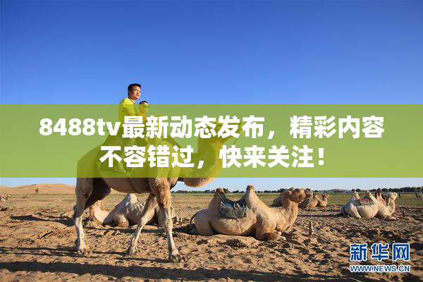 8488tv最新动态发布，精彩内容不容错过，快来关注！