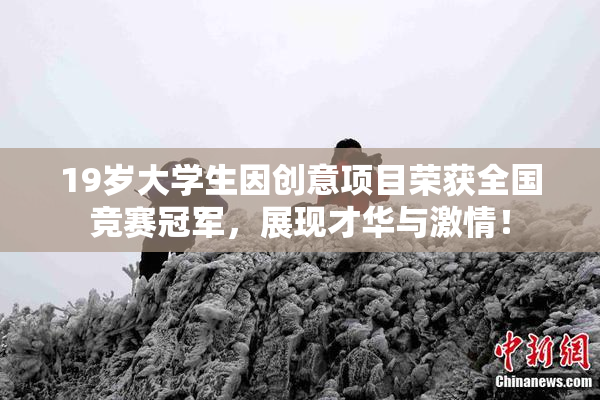 19岁大学生因创意项目荣获全国竞赛冠军，展现才华与激情！