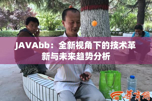 JAVAbb：全新视角下的技术革新与未来趋势分析