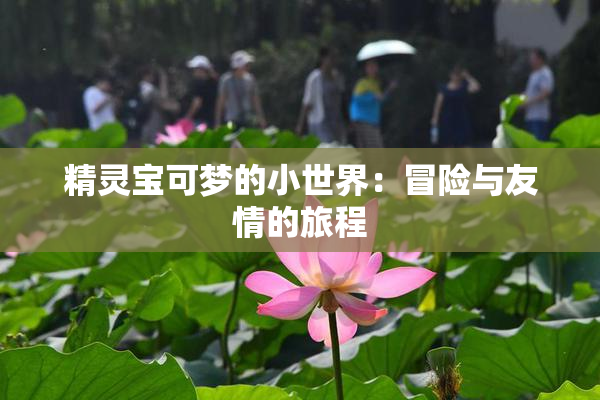 精灵宝可梦的小世界：冒险与友情的旅程