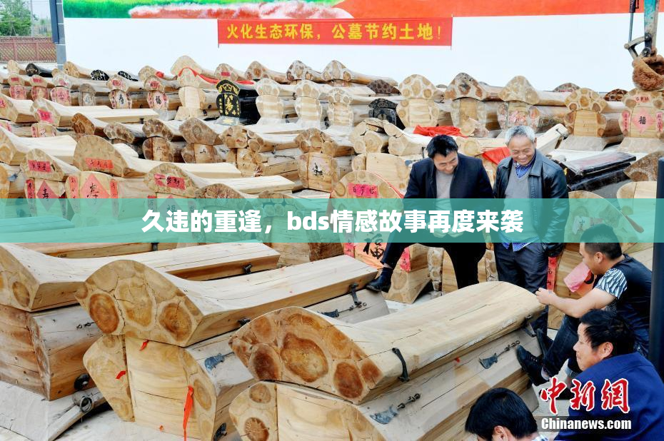 久违的重逢，bds情感故事再度来袭