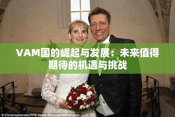 VAM国的崛起与发展：未来值得期待的机遇与挑战