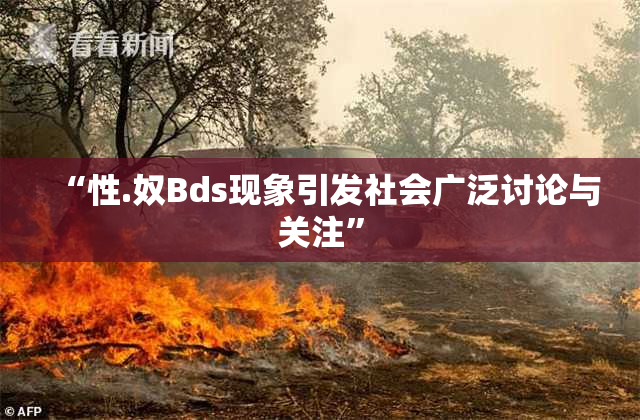 “性.奴Bds现象引发社会广泛讨论与关注”