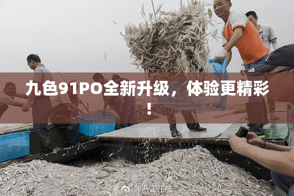 九色91PO全新升级，体验更精彩！