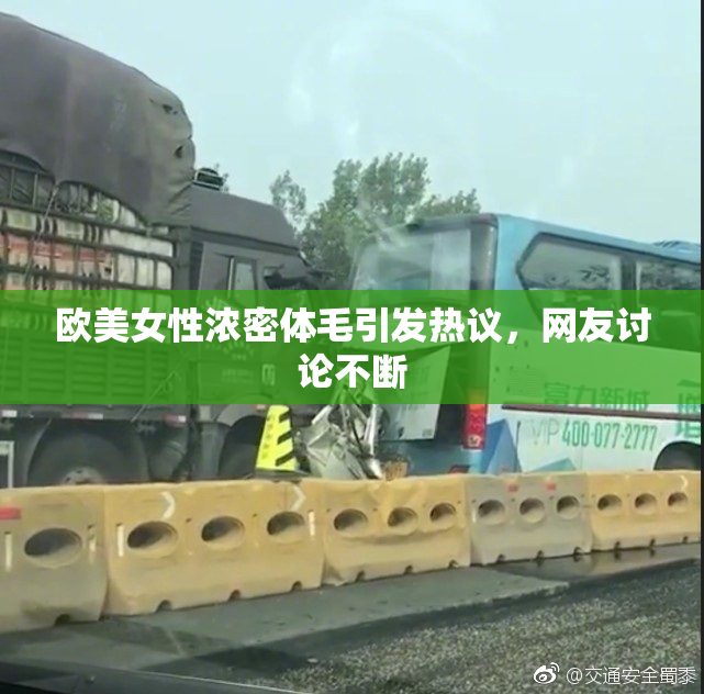 欧美女性浓密体毛引发热议，网友讨论不断