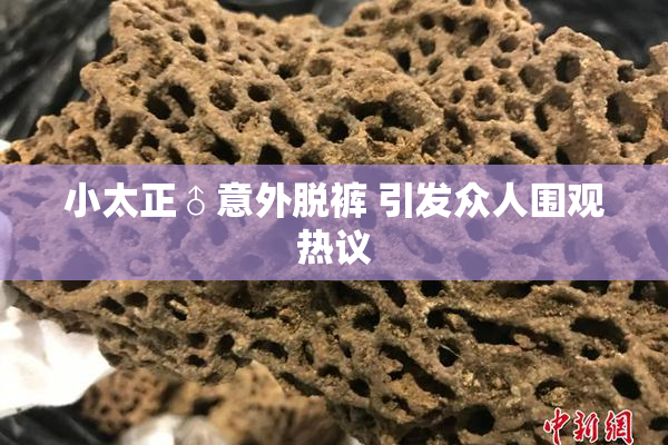 小太正♂意外脱裤 引发众人围观热议