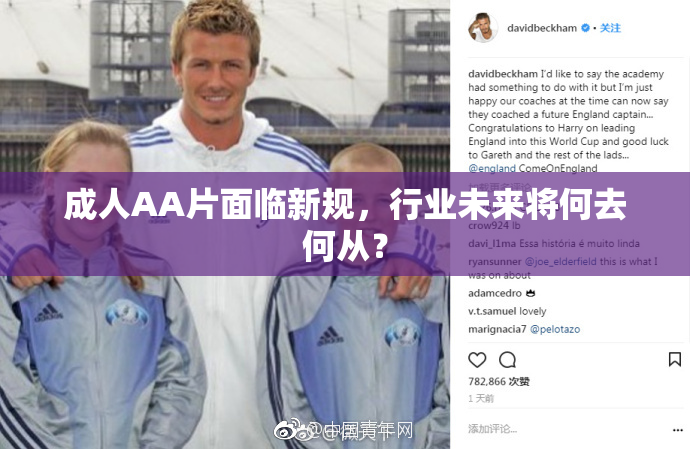 成人AA片面临新规，行业未来将何去何从？