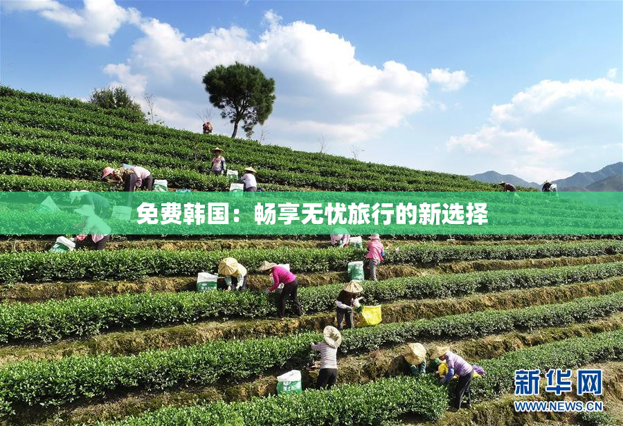 免费韩国：畅享无忧旅行的新选择