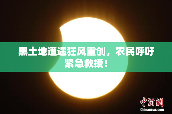 黑土地遭遇狂风重创，农民呼吁紧急救援！