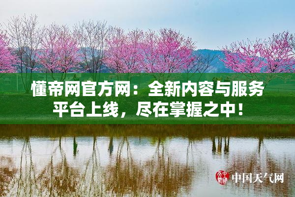 懂帝网官方网：全新内容与服务平台上线，尽在掌握之中！