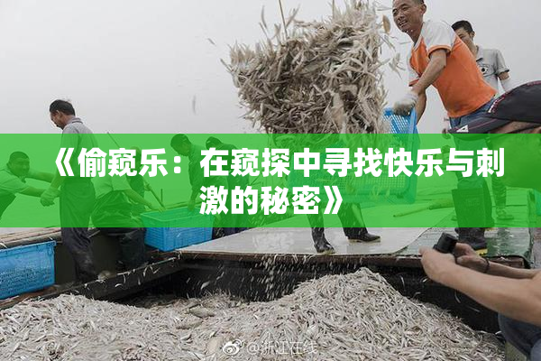 《偷窥乐：在窥探中寻找快乐与刺激的秘密》