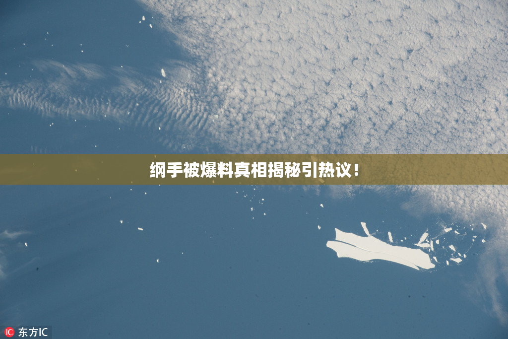纲手被爆料真相揭秘引热议！