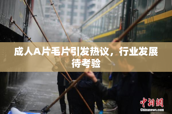 成人A片毛片引发热议，行业发展待考验