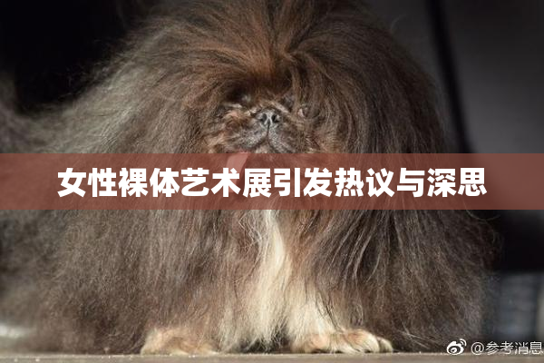 女性裸体艺术展引发热议与深思