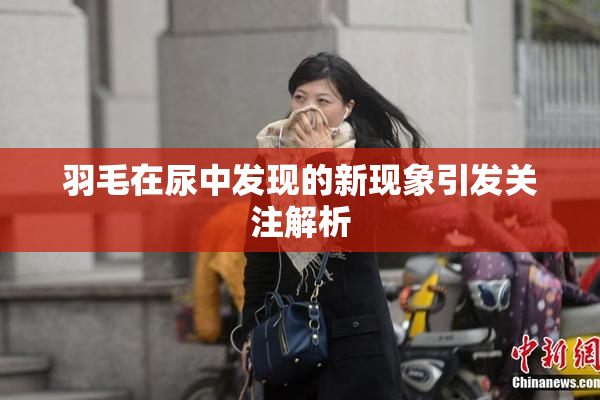 羽毛在尿中发现的新现象引发关注解析