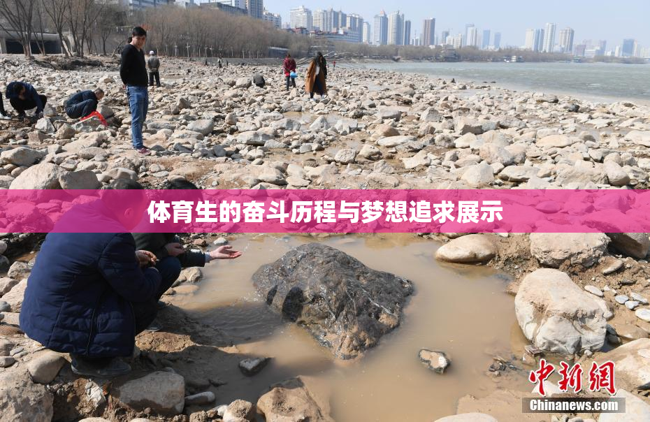 体育生的奋斗历程与梦想追求展示