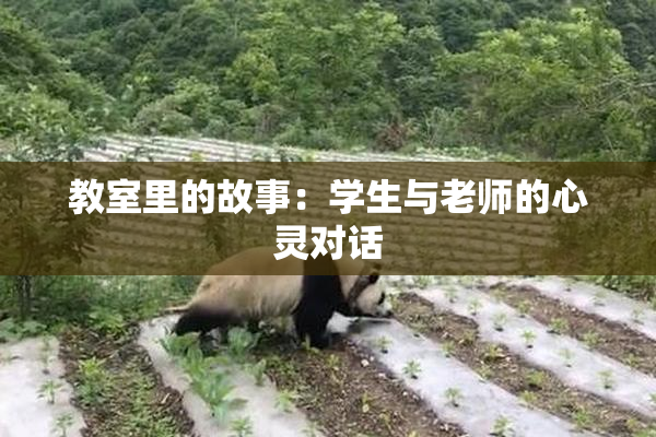 教室里的故事：学生与老师的心灵对话