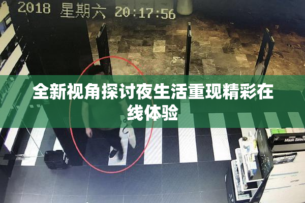 全新视角探讨夜生活重现精彩在线体验