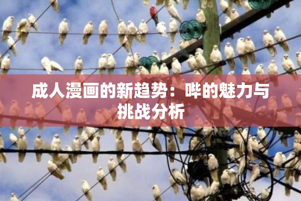 成人漫画的新趋势：哔的魅力与挑战分析