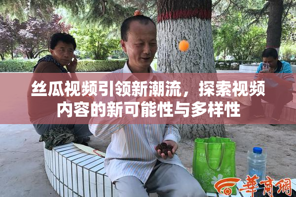 丝瓜视频引领新潮流，探索视频内容的新可能性与多样性