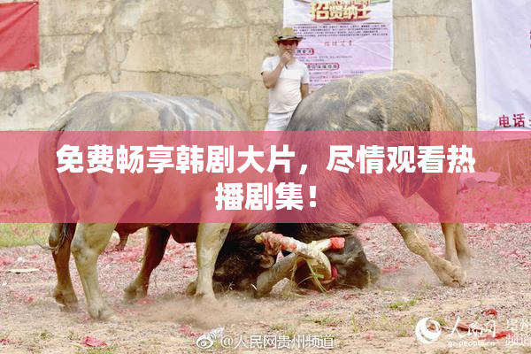 免费畅享韩剧大片，尽情观看热播剧集！
