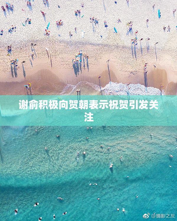 谢俞积极向贺朝表示祝贺引发关注