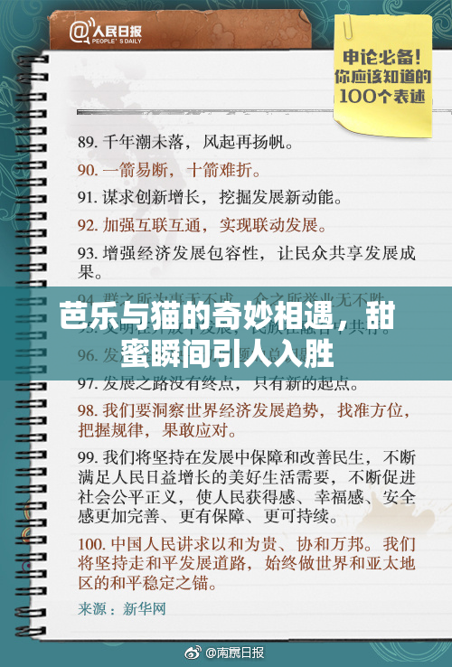 芭乐与猫的奇妙相遇，甜蜜瞬间引人入胜