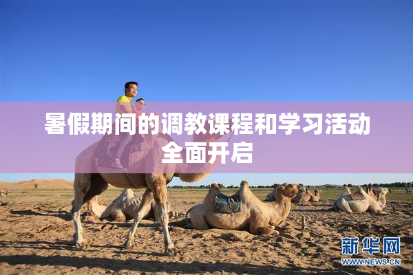 暑假期间的调教课程和学习活动全面开启