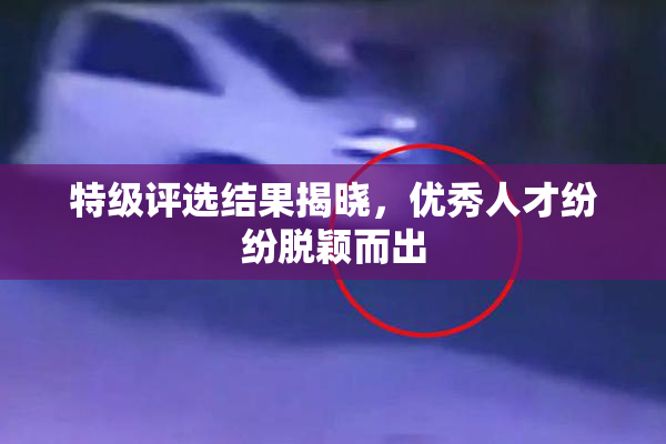 特级评选结果揭晓，优秀人才纷纷脱颖而出