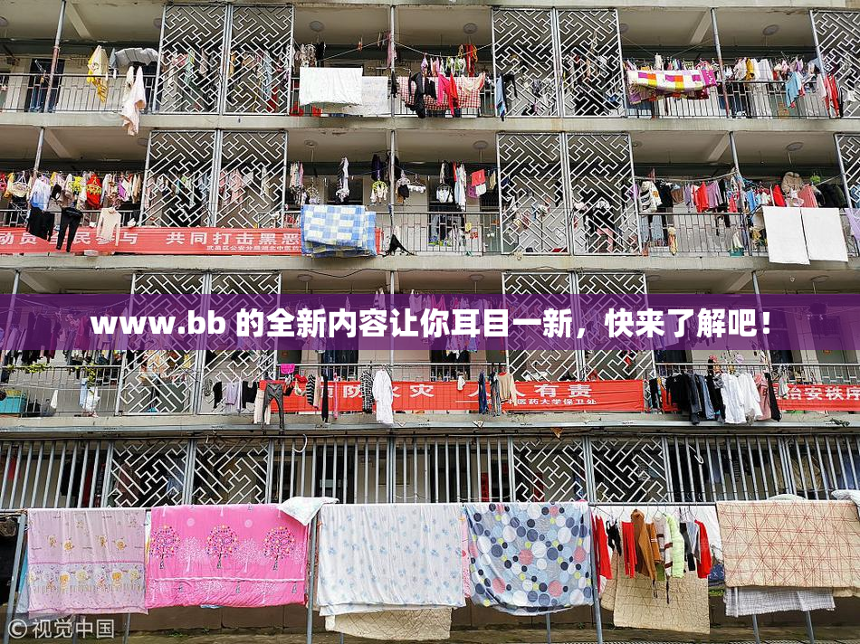 www.bb 的全新内容让你耳目一新，快来了解吧！